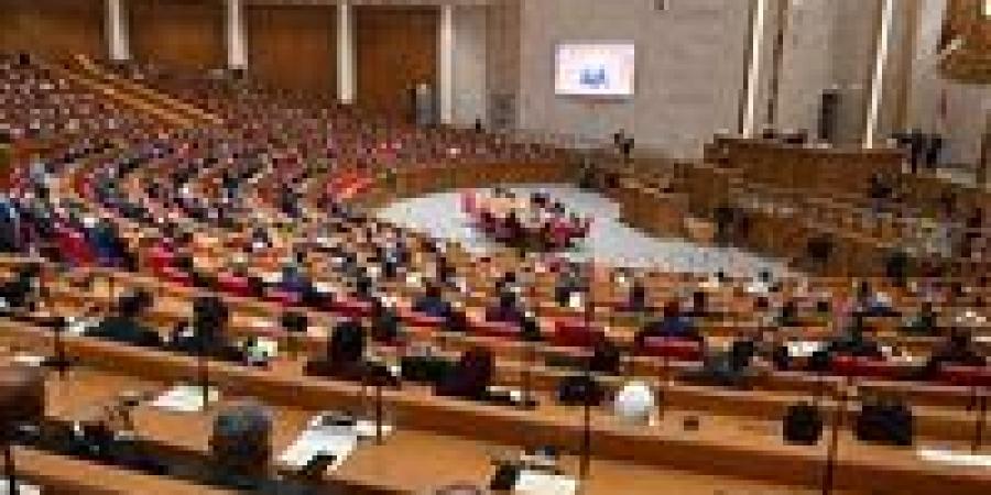 نائب يطالب خلال اجتماع شباب النواب بوضع ضوابط واضحة لقانون المهن الرياضية - جريدة هرم مصر