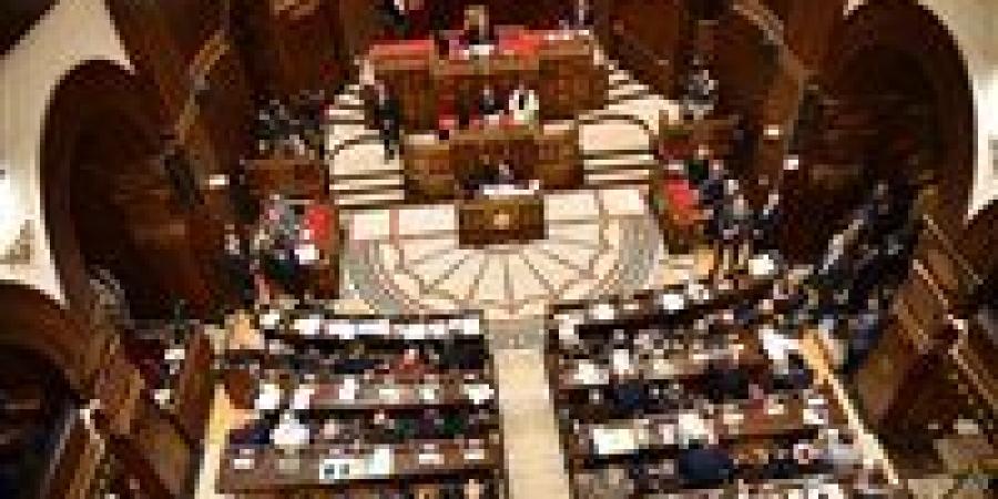 التعليم والبحث العلمي والاتصالات تناقش تعديل قانون تنظيم العمل بالمستشفيات الجامعية غدا - جريدة هرم مصر