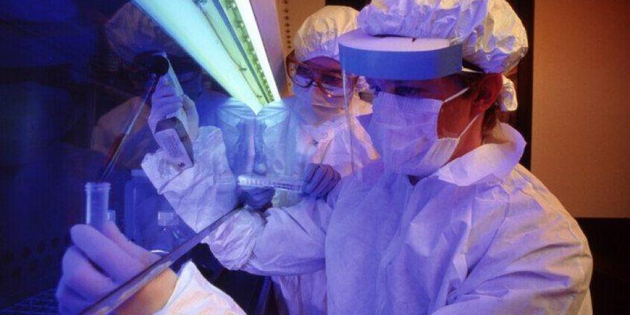 للمرة الأولى.. الذكاء الاصطناعي يصمّم فيروسات حية وفعّالة داخل المختبر - جريدة هرم مصر