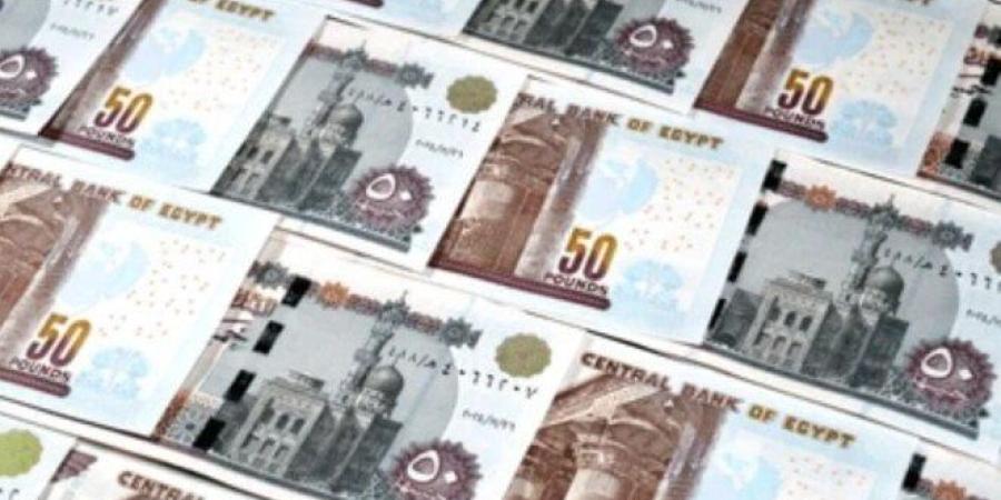 قبل اجتماع البنك المركزي.. أعلى عائد مدفوع مقدما على شهادات الادخار في البنوك - جريدة هرم مصر