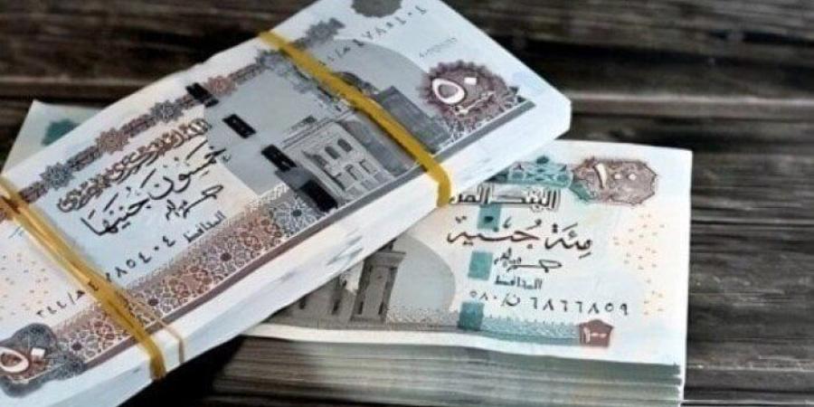 لـ القطاع الحكومي والخاص.. موعد وجدول صرف مرتبات شهر فبراير 2026 - جريدة هرم مصر