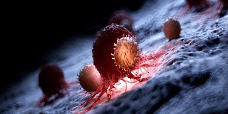 دواء تجريبي جديد يدفع الخلايا السرطانية إلى التدمير الذاتي - جريدة هرم مصر