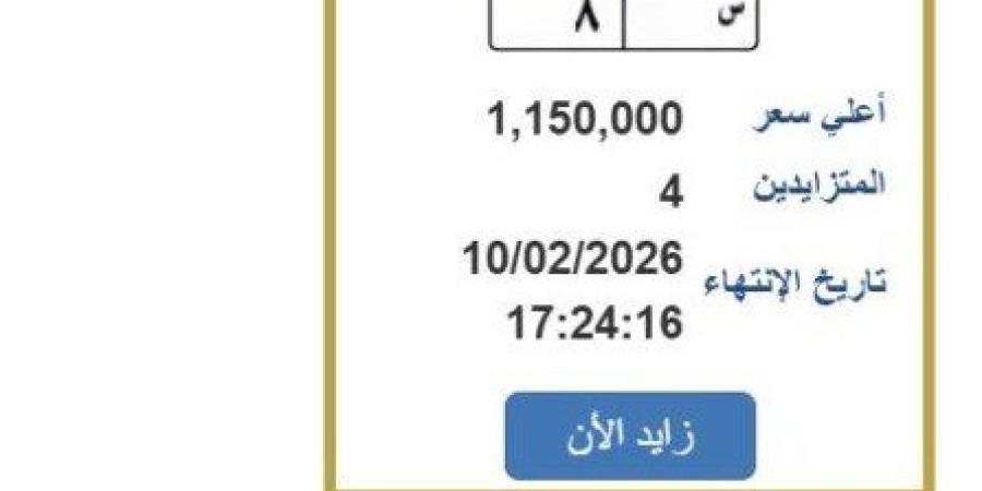 سعرها تخطى مليون جنيه.. مزايدة نارية على لوحة سيارة مميزة - جريدة هرم مصر
