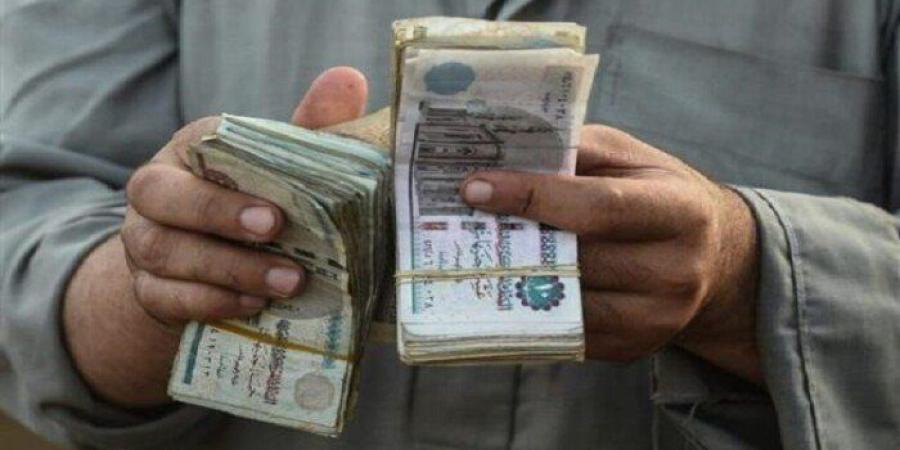 استعلام عن الأسماء الجدد في تكافل وكرامة بالرقم القومي 2026.. رابط رسمي - جريدة هرم مصر