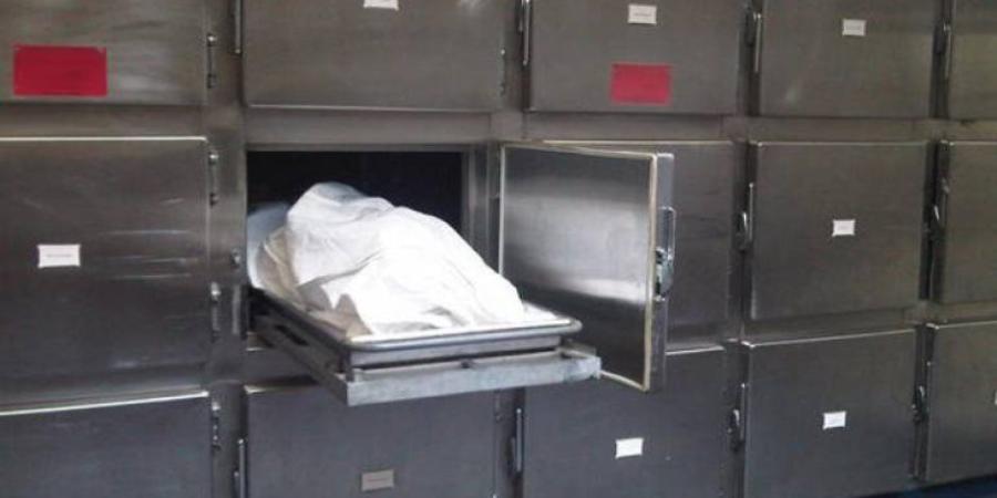 مصرع عامل وإصابة شاب فى حادثين بالإسماعيلية - جريدة هرم مصر