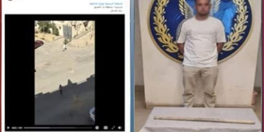 الداخلية تكشف ملابسات ضرب كلب ضال بـ «عصا خشبية» - جريدة هرم مصر