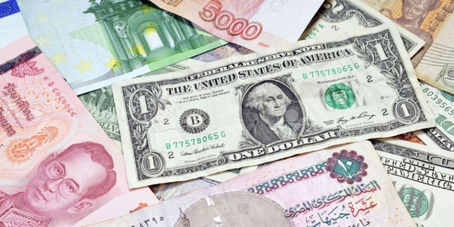 «الأموال العامة» تضبط عددا من قضايا الإتجار غير المشروع بالنقد الأجنبي - جريدة هرم مصر