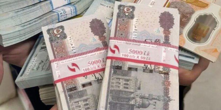 قبل عيد الأضحى.. موعد صرف مرتبات شهر مايو 2026 - جريدة هرم مصر
