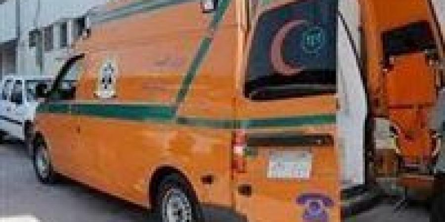 مصرع طفلة دهسًا أسفل عجلات سيارة بقرية أبو فليو في المنيا - جريدة هرم مصر