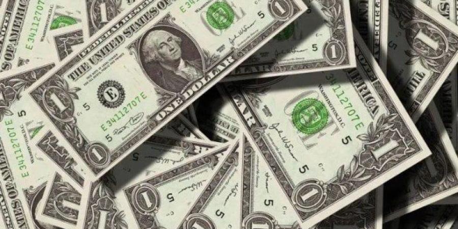 بكام النهاردة؟.. سعر الدولار في مصر اليوم الثلاثاء 5 مايو 2026 - جريدة هرم مصر