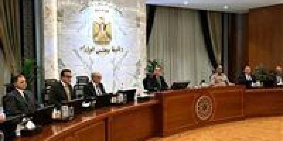 الوزراء: معدلات نمو الاقتصاد في الربع الثالث من العام المالي الحالي فاقت توقعاتنا - جريدة هرم مصر