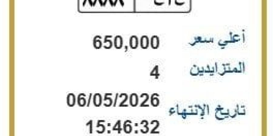 تخطت نصف مليون جنيه.. مزايدة نارية على لوحة سيارة مميزة | اعرف الخطوات - جريدة هرم مصر
