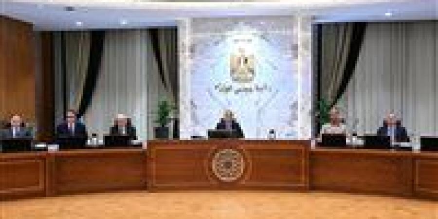 الوزراء: أي مصنع جديد هيُنشأ في مصر لازم يشتغل بنسب كبيرة من الطاقة الشمسية ومصادر الطاقة المتجددة - جريدة هرم مصر