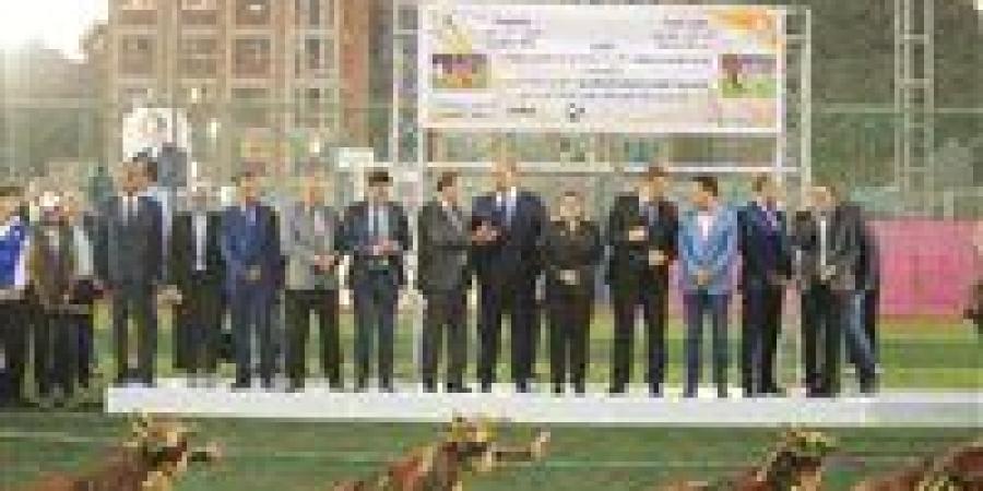 ختام دوري مراكز الشباب بالإسكندرية وتتويج الحرية باللقب - جريدة هرم مصر