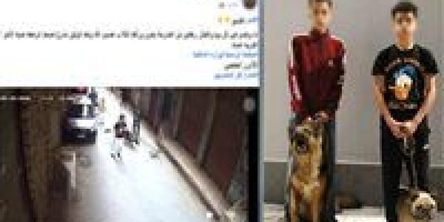 ضبط طالبين يروعان الأطفال بالكلاب في المنيرة الغربية بالجيزة - جريدة هرم مصر