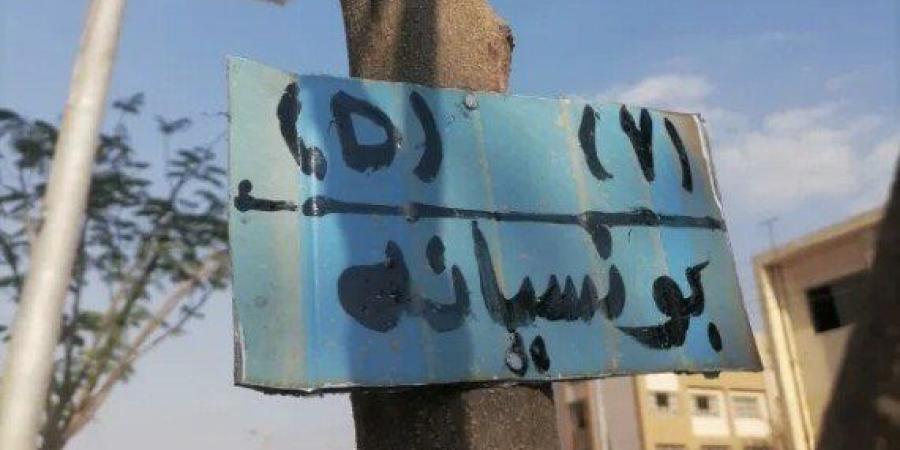 بدء منظومة تكويد وترقيم الأشجار في أشمون بالمنوفية - جريدة هرم مصر