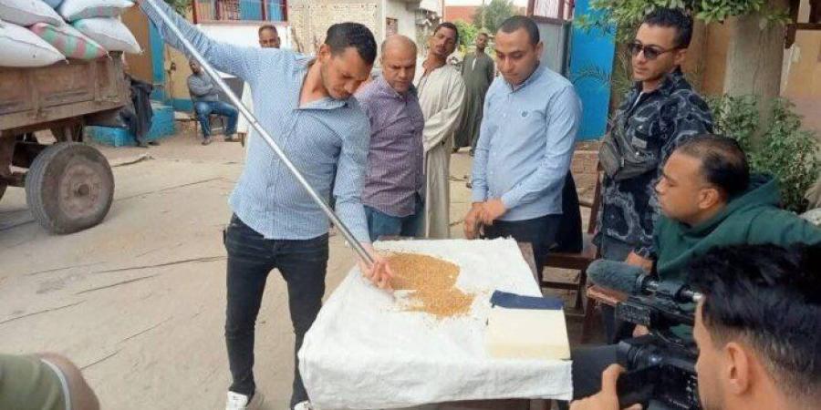 توريد 89 ألف طن من محصول القمح بصوامع وشون بني سويف - جريدة هرم مصر