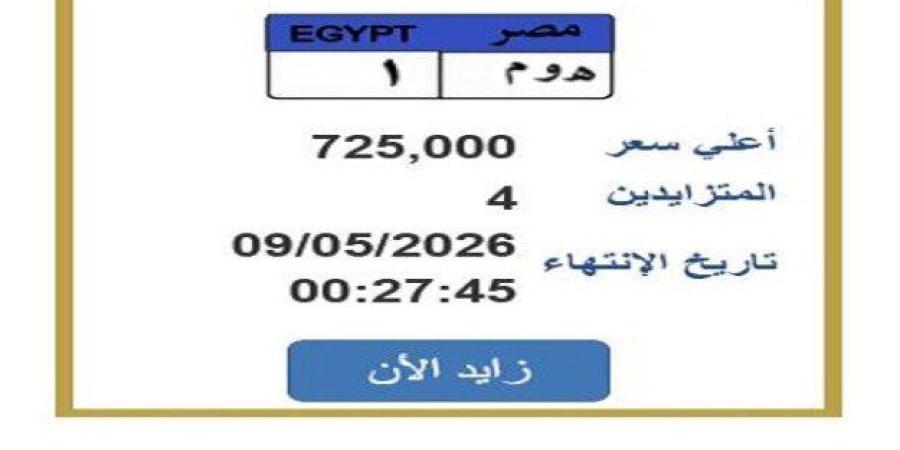 سعرها تخطى الـ 700 ألف جنيه.. مزايدة نارية على لوحة سيارة مميزة - جريدة هرم مصر