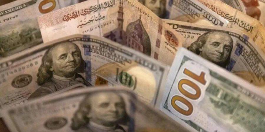 سعر الدولار بمستهل تعاملات اليوم الخميس 7 مايو 2026 - جريدة هرم مصر