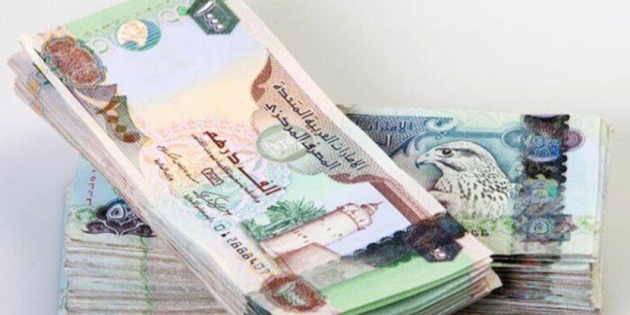 سعر الدرهم الإماراتي مقابل الجنيه المصري اليوم الجمعة 8 مايو 2026 - جريدة هرم مصر