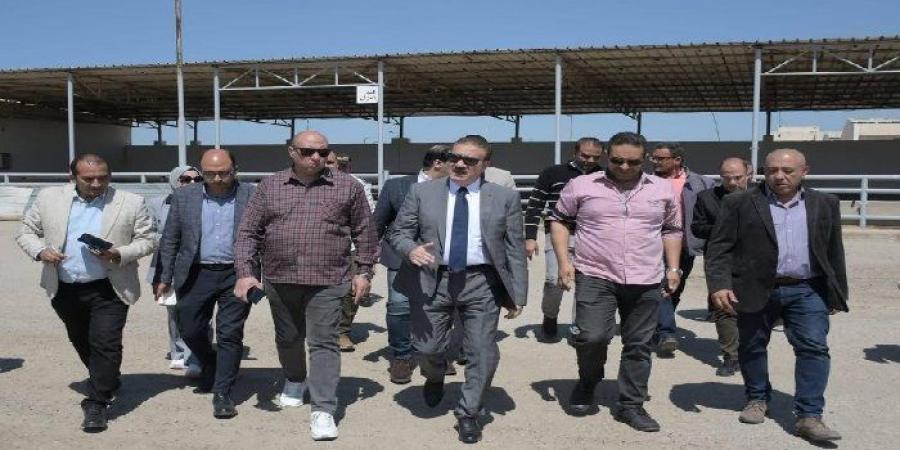 بورسعيد ترفع درجة الاستعداد القصوى لاستقبال الأضاحي بمجازر «القابوطي الجديد» - جريدة هرم مصر
