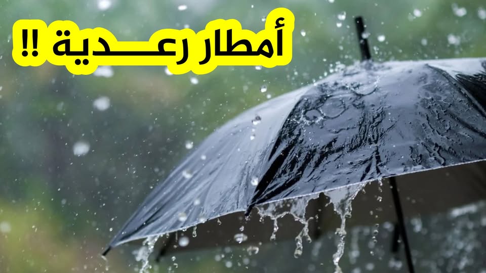 الأرصاد الجوية تحذر من أمطار رعدية غزيرة تتجاوز خمسين مليمترا في عدة ولايات