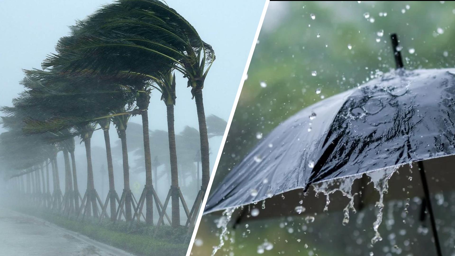 الأمطار الغزيرة والرياح الشديدة تؤثر على عدد من الولايات في فيراليا