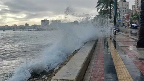 تعرف على جدول نوات الإسكندرية لعام 2026 وأهم المعلومات المتعلقة به