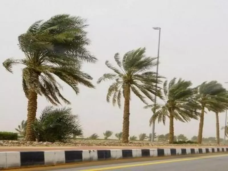 توقعات بأمطار رعدية غزيرة ورياح قوية تتسبب في اضطرابات عبر عدة ولايات اليوم