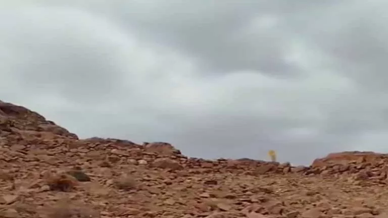 حالة الطقس غدا الأرصاد تتوقع استمرار سقوط الأمطار في مناطق محددة