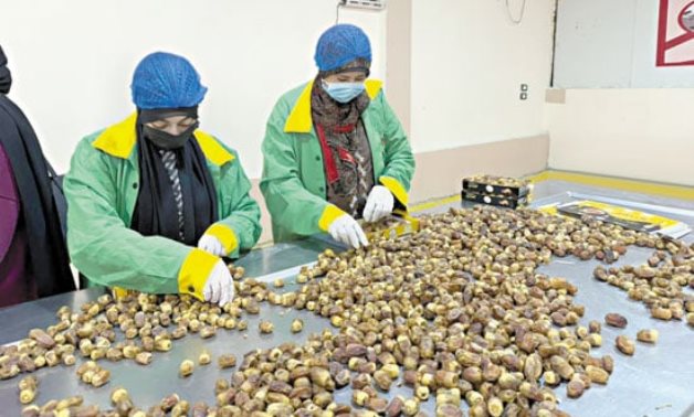 رحلة تمكين الأسر المستفيدة من برامج الدعم إلى التوظيف في المصانع بقيادة مايا مرسي