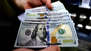سعر الدولار مقابل الجنيه المصري اليوم الأحد 3 مايو 2026 في البنوك واستقرار الأسعار يثير اهتمام المستثمرين