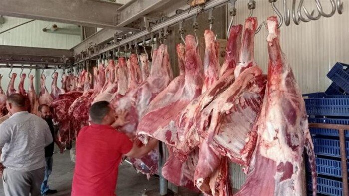 أسعار اللحوم اليوم السبت 22 أغسطس 2026 الكندوز الصغير بـ 350 جنيهًا