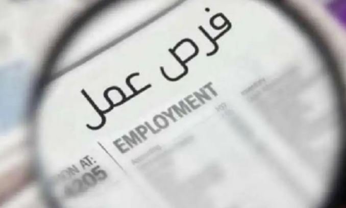 العمل يعلن عن 1140 فرصة عمل جديدة بالمرتبات تصل إلى 30 ألف جنيه