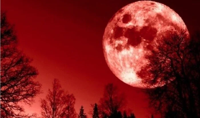 خسوف القمر الجمعة تعرف على موعد الظاهرة وأماكن رؤيتها في مصر