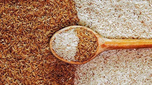 سعر الأرز الشعير اليوم الأحد 16 أغسطس 2026 يتغير في الأسواق المحلية