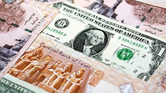 سعر الدولار اليوم مقابل الجنيه المصري وتحديث مباشر لأحوال العملة الأمريكية
