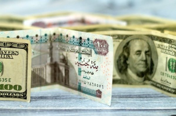 سعر الدولار مقابل الجنيه المصري اليوم السبت 29 أغسطس 2026 واستقرار السوق المالية
