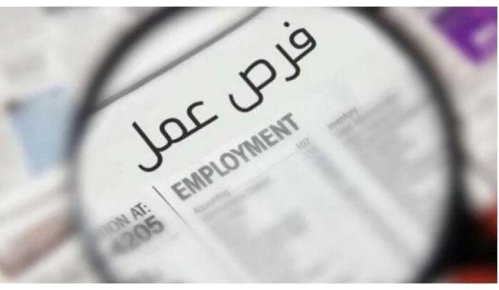 فرص عمل نسائية في الأمن والحراسة من «العمل» تفاصيل التقديم وكيفية الانضمام