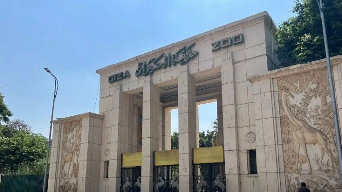 موعد افتتاح حديقة الحيوان بالجيزة وتحديد سعر تذكرة الدخول بعد التجديد
