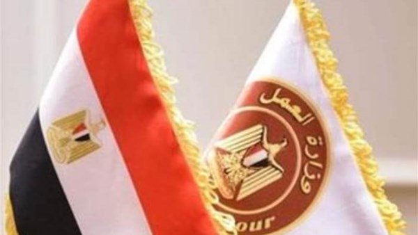 وزارة العمل تعلن عن وظائف في خمس تخصصات برواتب تبدأ من 12 ألف جنيه
