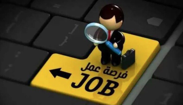 وظائف خالية برواتب 11 ألف جنيه في المحافظات مع الشروط والتخصصات المطلوبة
