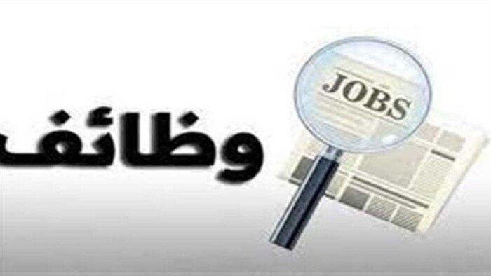 وظائف سائقي نقل ثقيل بالوزارة 2026 الشروط والمزايا للمتقدمين