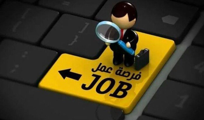 وظائف وزارة العمل في شرم الشيخ برواتب تصل إلى 20 ألف جنيه وتخصصات وشروط 2026