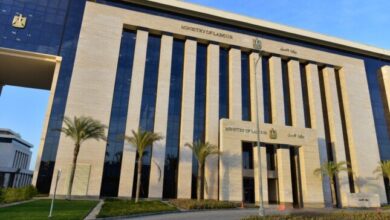860 فرصة عمل جديدة برواتب مجزية في وظائف أمن وحراسة في أكتوبر والعاشر والمعادي