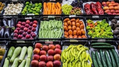 أسعار الخضراوات والفاكهة اليوم الخميس 24 سبتمبر 2026 في سوق العبور للمستهلكين