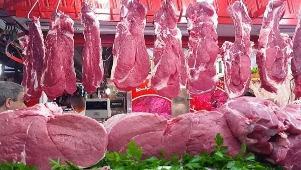 أسعار اللحوم اليوم الاثنين 28 سبتمبر 2026 الضاني والفلتو والكندوز في الأسواق المصرية