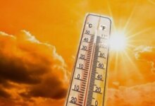 حالة الطقس غدا الثلاثاء ارتفاع درجات الحرارة وشبورة كثيفة تؤثر على الطرق في أجواء غير مستقرة