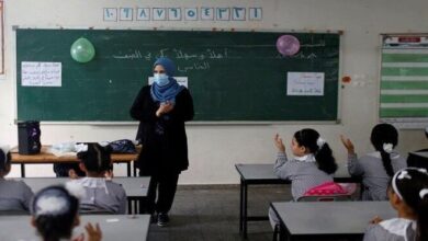 رابط الاستعلام عن نتيجة الدفعة الخامسة للمعلمين 2026 بالرقم القومي بشكل مباشر