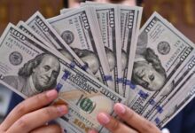 سعر الدولار اليوم الأربعاء 2 سبتمبر 2026 في السوق المحلية ونظرة على تحركاتها